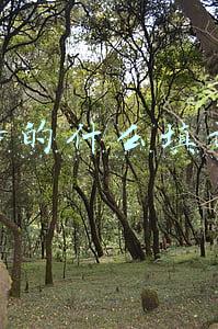 独特的什么填词语