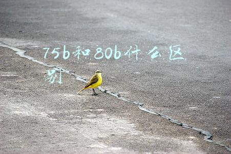 75b和80b什么区别