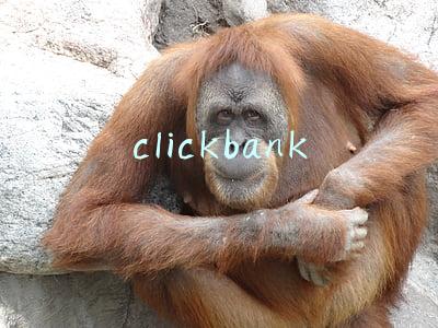 clickbank