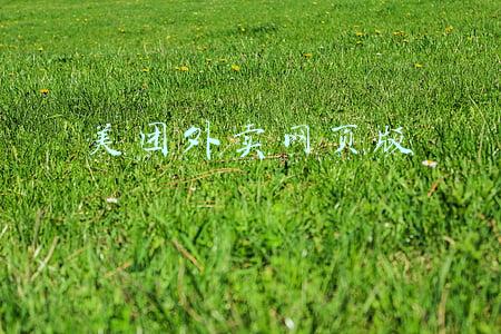 美团外卖网页版在线使用(美团外卖可能误导公众，外卖骑手收入减少，餐饮店生存困难)