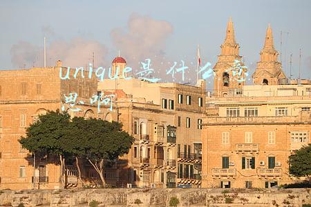unique是什么意思啊