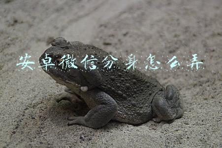 安卓微信分身怎么弄