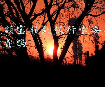 从余额宝转入银行卡需要手续费吗(几种余额宝无损转出到银行卡的方法)