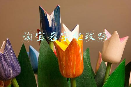 淘宝名字能改吗