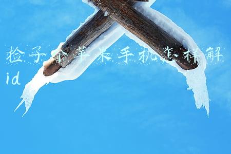 捡了个苹果手机怎样解id