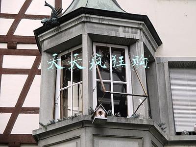 天天疯狂购