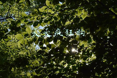 天天疯狂购物(41岁全职妈妈每月狂买十几万！医生：过度“买买买”可能是种病，得治)