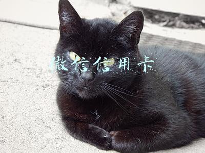 微信信用卡