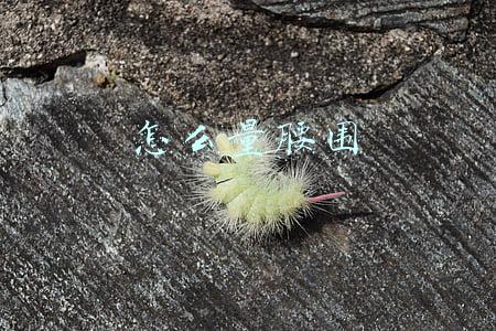 怎么量腰围