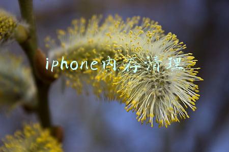 iphone内存清理