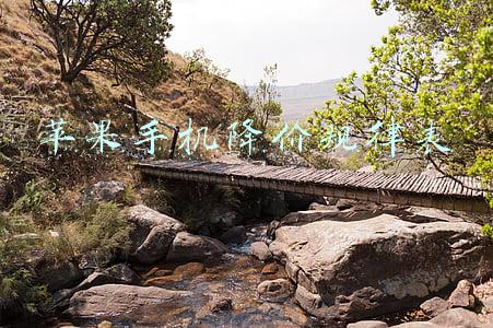 苹果手机降价规律表