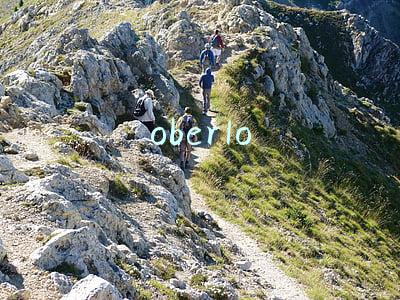 oberlo