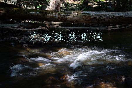 广告法禁用词