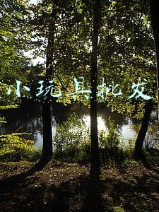成都玩具批发(成都严查“三无”玩具 一经发现可拨12345投诉)