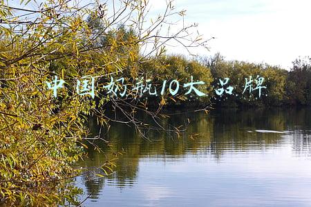 中国奶瓶10大品牌