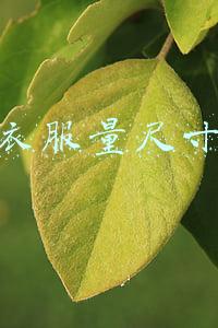 男士衣服量尺寸图解