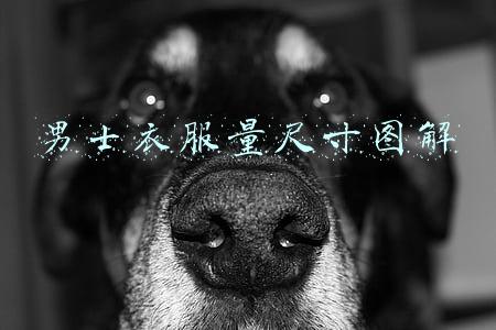 男士衣服量尺寸图解