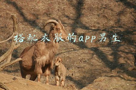 搭配衣服的app男生