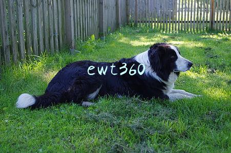 ewt360