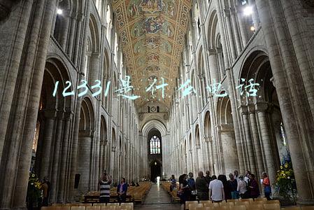 12331是什么电话号码(我市又有8条热线整体并入“12345”)