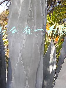 京东怎么看一共花了多少钱(《京东》消费总额查看方法)