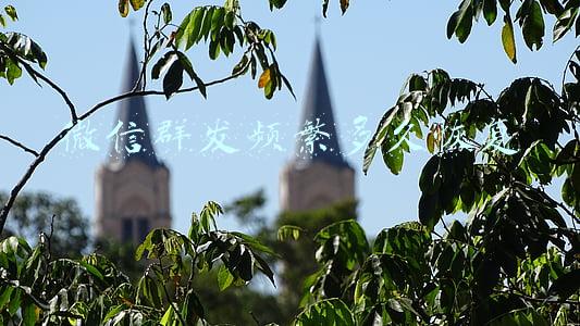 微信群发频繁多久恢复