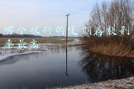 哪个银行的定期存款利率最高 哪个银行的定期存款利率最高