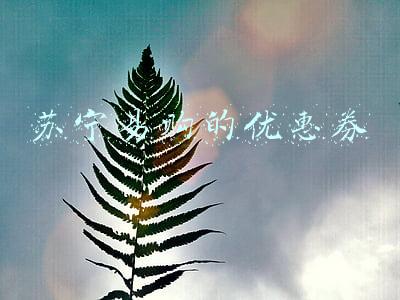 苏宁易购的优惠券