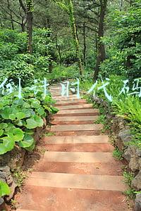 vb倒计时代码(VB小程序，倒计时天数计算)