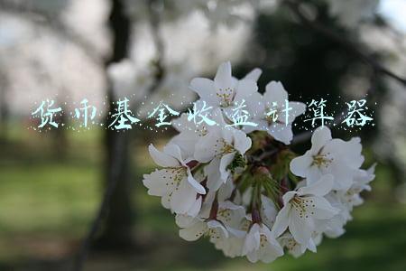 货币基金收益计算器