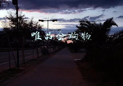 唯品会购物