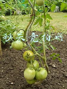 秒杀竞拍网
