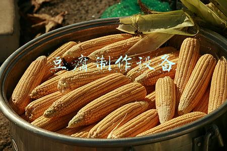 豆腐制作设备