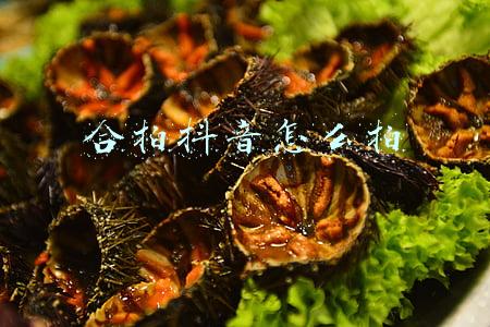 合拍抖音怎么拍