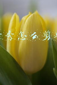 美图秀秀怎么剪辑视频