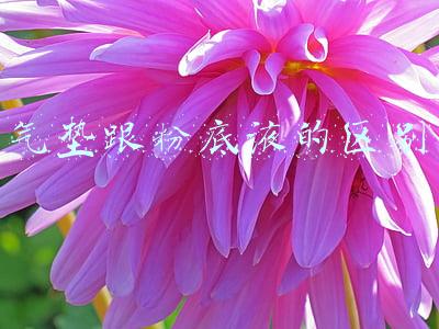 气垫跟粉底液的区别