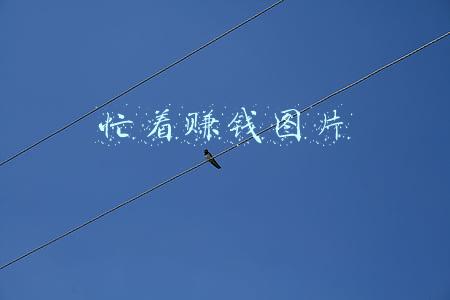 忙着赚钱图片