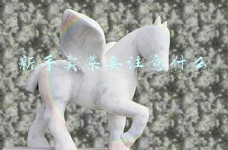 新手卖菜要注意什么