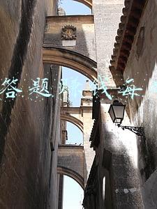 微信答题赚钱每题5元