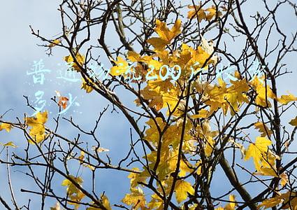 普通物流200斤收费多少