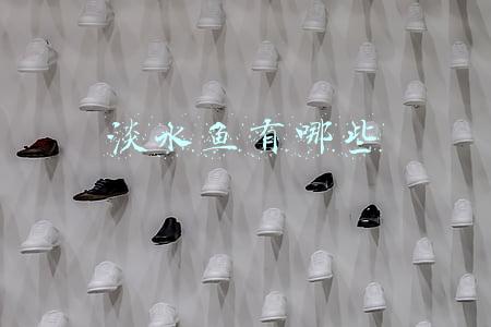 淡水鱼有哪些 淡水鱼有哪些