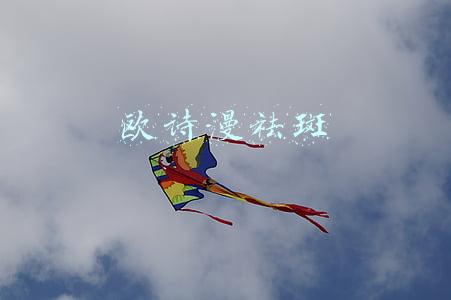 欧诗漫祛斑霜(安徽：12批次化妆品被禁售 汞超标会致中毒)