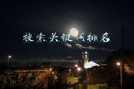 搜索关键词排名