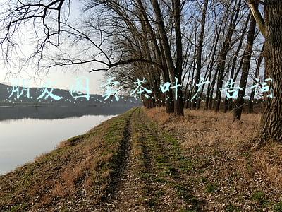 朋友圈卖茶叶广告词