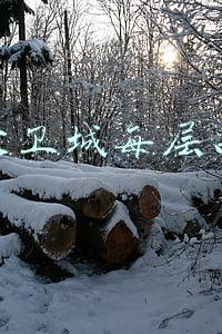 郑州大卫城每层品牌表