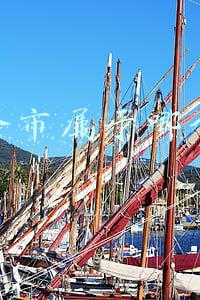 四会市属于哪个市