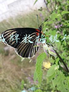 品牌数据银行
