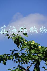 在海外购物商场买东西了,想退款了,手机能来短信吗(中国驻匈牙利大使馆发布关于回国临时航班相关信息)