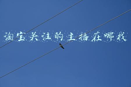淘宝关注的主播在哪找