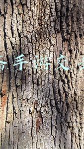聚宝斋手游交易平台
